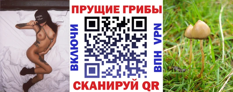 Купить  Оленегорск  Галлюциногенные грибы ЛСД 
